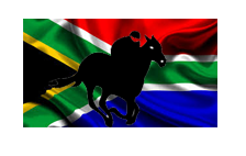 South African Races